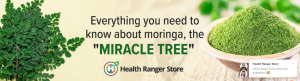 Everything you need to know about moringa, the “Miracle Tree”